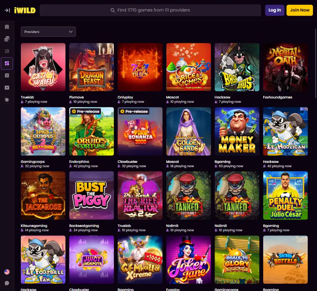 iWild Casino desktop slots lobby screenshot presenting variety of slot games with categories and providers - verified
